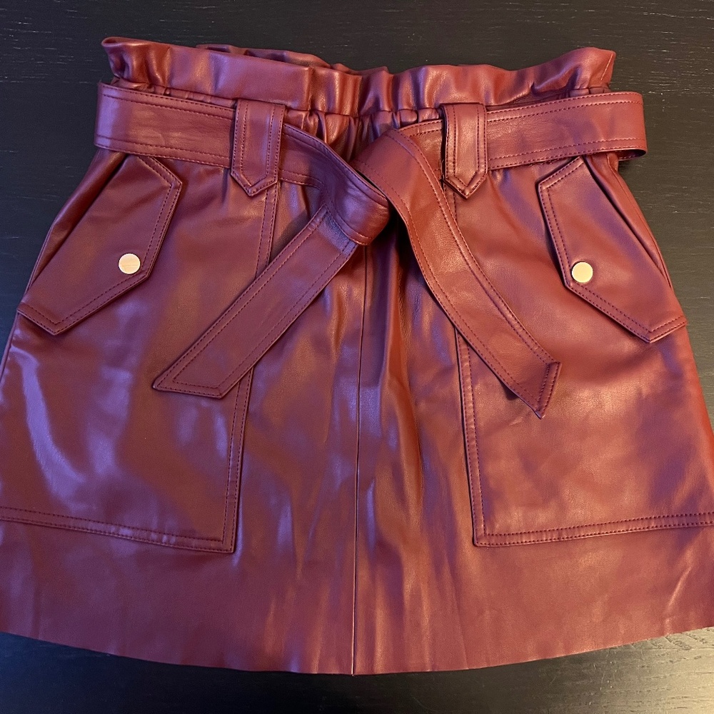 Pleather Zara Mini Skirt A-Line M